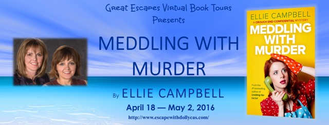 NEW MEEDLING WITH MURDER  large banner V640