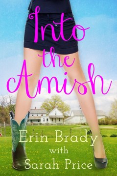 Into The Amish Cover